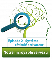 Vignette de Série "Notre cerveau est incroyable" - Épisode n°2 : Système réticulé activateur