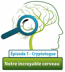 Vignette de Série "Notre cerveau est incroyable" - Épisode n°1 : Cryptologue