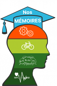 BDs9 Nos memoires Icon